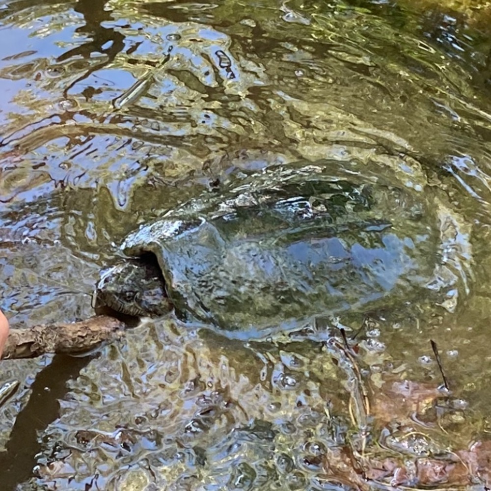 Meet your Posher, Kayleigh